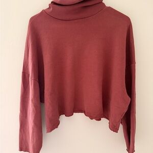 American Eagle Outfitters Dusty Rose Turtleneck Sweater